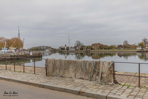Filets Port d'Honfleur (14)  - 2021