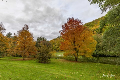 Parc et jardin en automne du Château d'Acquigny (27) - 2020