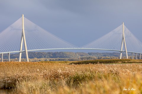 Pont de Normandie vu depuis le Marais de l'Estuaire de la Seine - 2020
