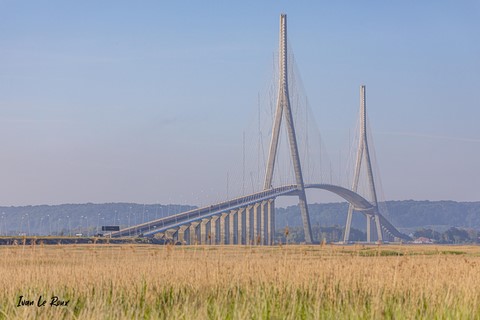 Pont de Normandie depuis le Marais (76) - 2021