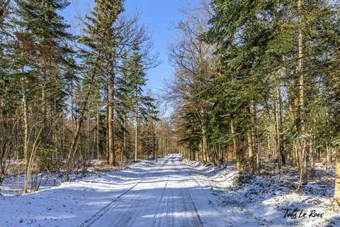 Forêt de Romilly-La-Puthenaye (27) - 2021
