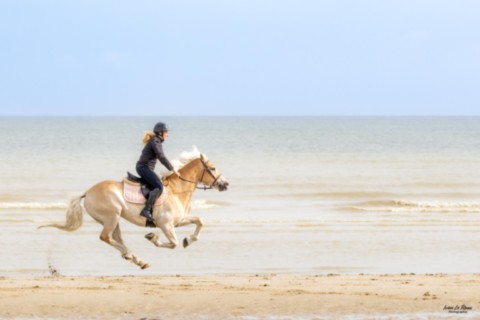 Jessica et Kasanova au galop sur la plage de Merville-Franceville Ivan Le Roux Photographe