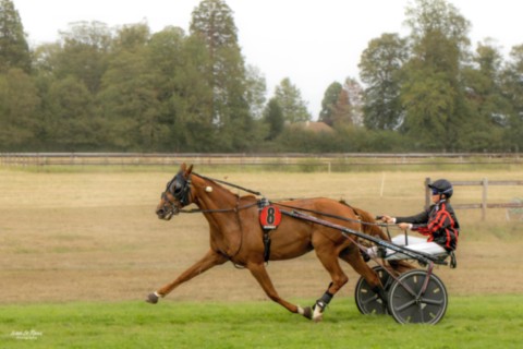 "Irwin Star" - Hippodrome de Bernay (27) - 2025 - Ivan Le Roux Photographie normandie