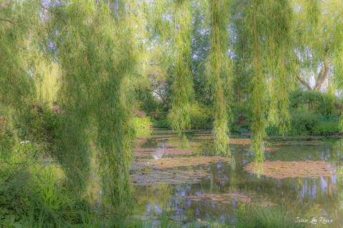 Saule Jardin de Claude Monet - Giverny (27)